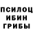 Галлюциногенные грибы MAGIC MUSHROOMS 4989498