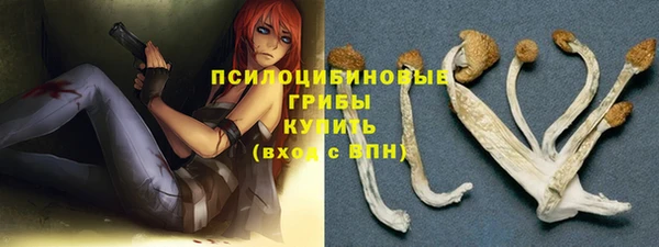 spice Нягань