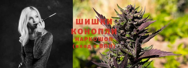ГАЛЛЮЦИНОГЕННЫЕ ГРИБЫ Новокубанск