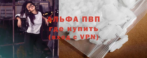 2c-b Новозыбков