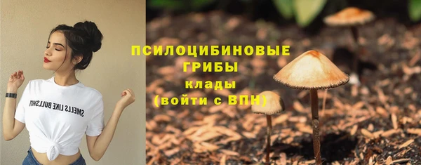 ГАЛЛЮЦИНОГЕННЫЕ ГРИБЫ Новокубанск