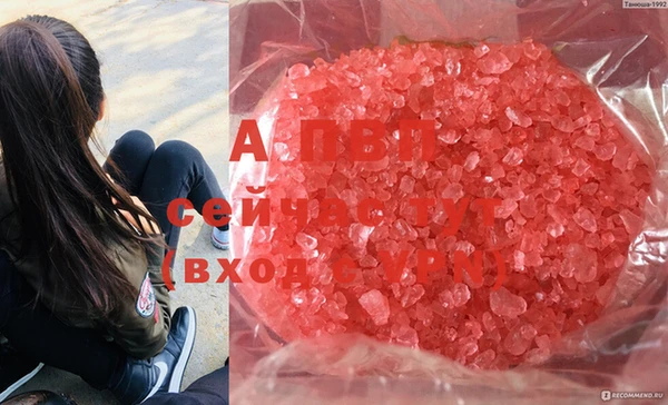 2c-b Новозыбков