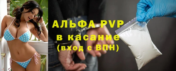 PSILOCYBIN Новодвинск