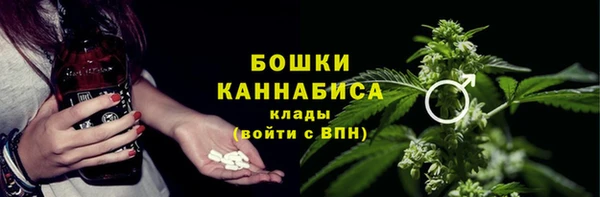 прущие грибы Няндома