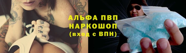 PSILOCYBIN Новодвинск