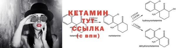 2c-b Новозыбков