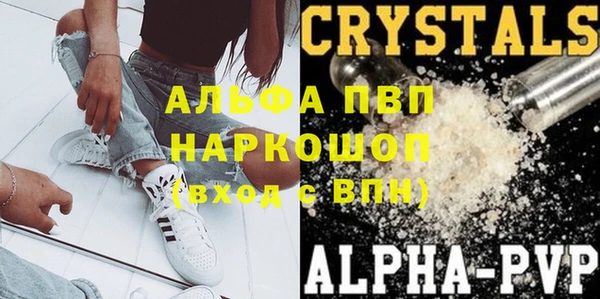 прущие грибы Няндома