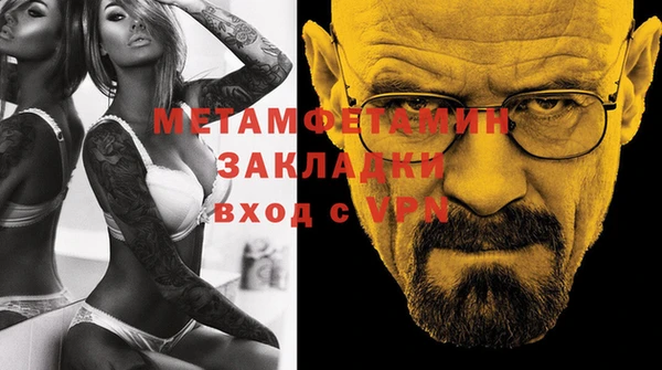 прущие грибы Няндома