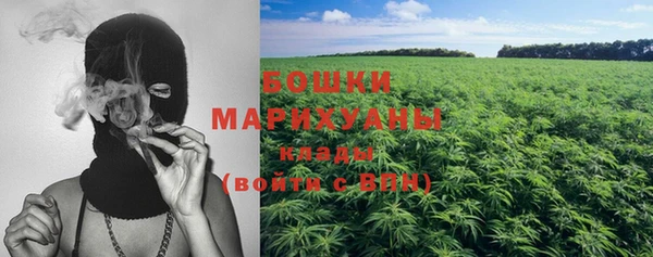 PSILOCYBIN Новодвинск