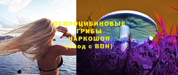 ГАЛЛЮЦИНОГЕННЫЕ ГРИБЫ Новокубанск